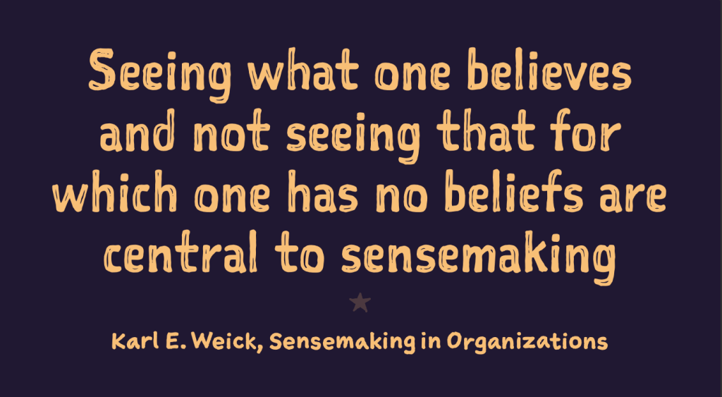 Quote from Karl E. Weick: "Seeing what one believs and not seeing that for which one has no beliefs are central to sensemaking".